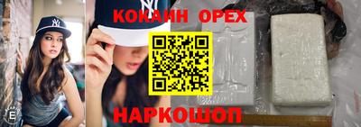 шишки Лесосибирск