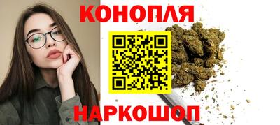 шишки Лесосибирск
