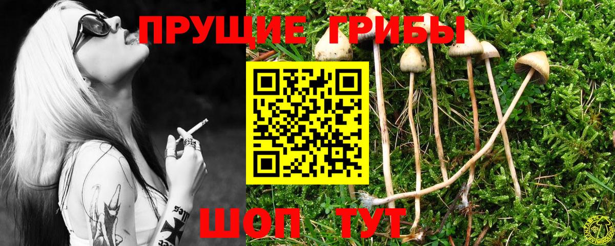 Ишимбай  Псилоцибиновые грибы Cubensis  Галлюциногенные грибы Psilocybine cubensis  наркота  Вход с VPN 